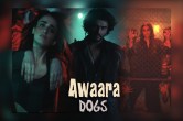 Awaara Dogs Song: अर्जुन कपूर की फिल्म 'कुत्ते' का पहला गाना 'आवारा डॉग्स' रिलीज, देखें वीडियो