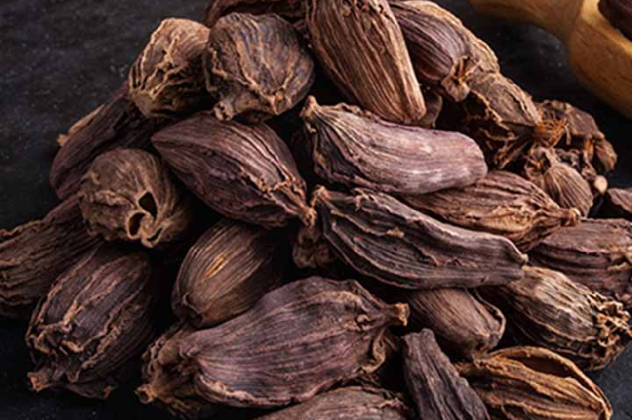 Black Cardamom Benefits