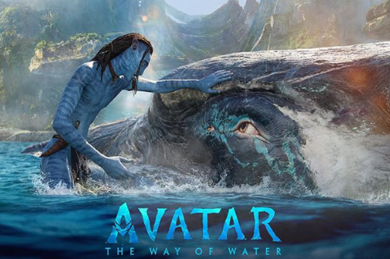 Avatar 2 New BO Collection: 'अवतार 2' ने 'एवेंजर्स एंडगेम' को छोड़ा पीछे, जानें लेटेस्ट कलेक्शन