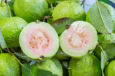 Benefits Of Guava