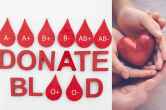 Benefits of Donating Blood: रक्त दान करने से रहती हैं कई बीमारियां दूर, मरीज के साथ आप भी रहते हैं हेल्दी