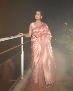 Dia Mirza Looks