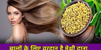 Fenugreek Seeds for Hair