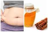 Honey-Cinnamon Remedies: पेट की जिद्दी चर्बी नहीं हो रही कम, तो करें शहद और दालचीनी का सेवन