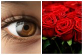 Health Care With Rose: आंखों की थकान दूर कर उन्हें हेल्दी रखें गुलाब के फूल, जानें इसके अन्य लाभ