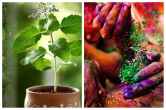 Holi Vastu Tips: होली के दिन घर में लाएं ये पौधा, खुल जाएंगे किस्मत के द्वार, होगी दिन दूनी रात चौगुनी बरकत