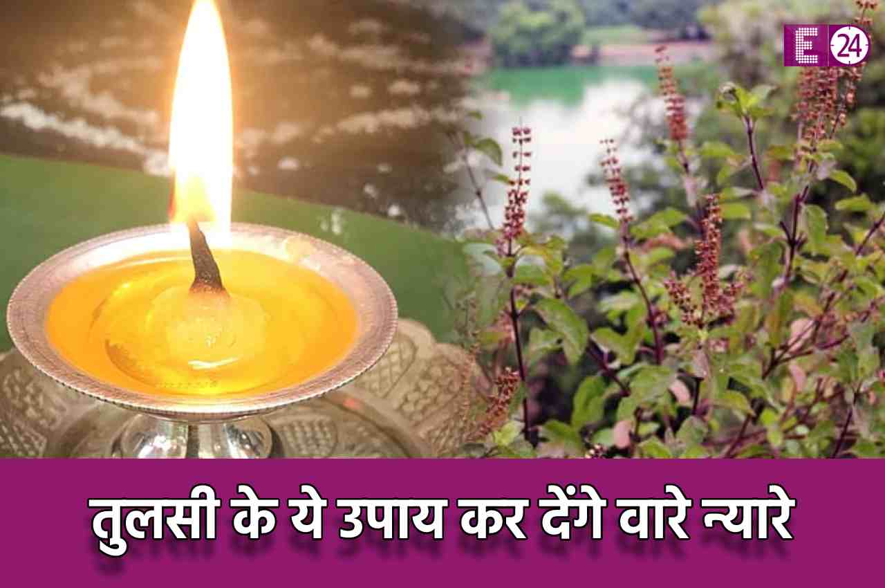 Vastu Tips For Tulsi: घर में लगा रहे हैं तुलसी का पौधा, तो भूलकर भी न करें ये काम, वरना तिजोरी हो सकती है खाली
