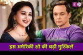 Actress Madhuri Dixit, American Show Big Bang Theory, Legal Notice, Netflix, OTT, Bollywood