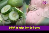 Health Tips: गर्भवती महिलाओं को करना चाहिए खीरे का सेवन, इससे कंट्रोल होता है ब्लड प्रेशर