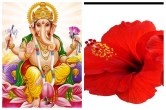 Tips To Worship: देवी देवताओं को प्रसन्न करने के लिए अर्पित करें उनकी पसंद के फूल, जानें इनके बारे में विस्तार से