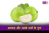 Benefits Of Guava, Health Care With Guava, Health Tips