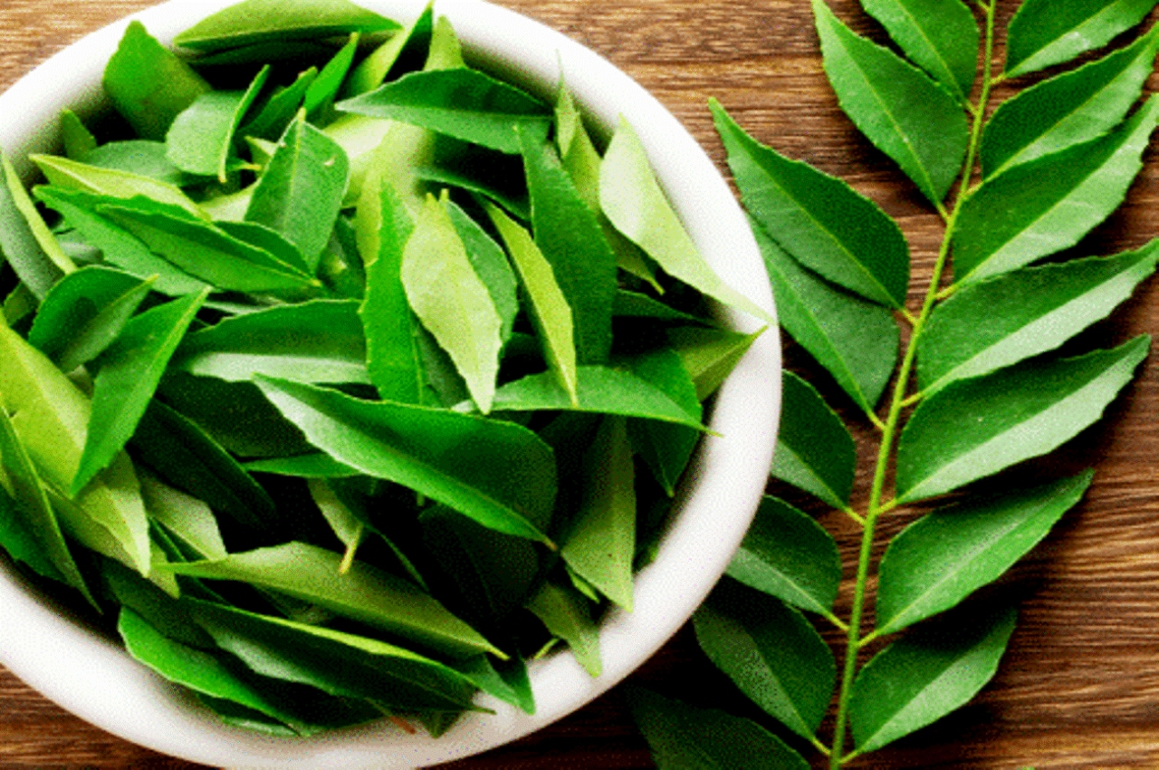 Health Tips, Benefits Of Curry Leaf, Curry Leaf For Health