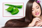 Hair Care Tips, Hair Care Pack, Home Remedies