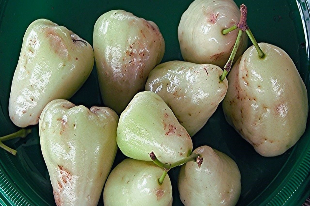 Benefits Of White Jamun, Health Tips, White Berries