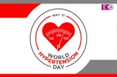 World Hypertension Day 2023, Health Tips, Hypertension Day