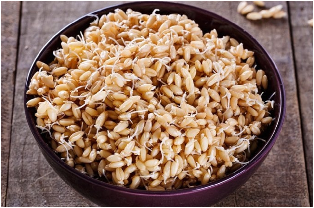 Benefits Of Sprouted Wheat