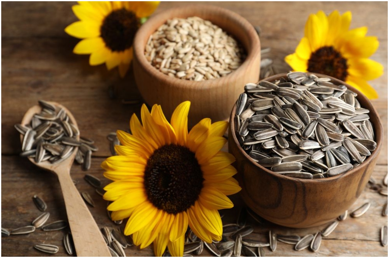 Benefits Of Sunflower Seed