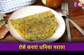 Dhania Paratha Recipe, Paratha Recipe, Kaise Banaye Dhania Paratha, Breakfast Recipe, Veg Paratha Recipe