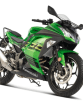 2023 Kawasaki Ninja 300 Launched With 296 cc Petrol Engine price features details