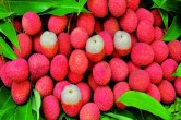 Benefits Of Litchi, Benefits Of Litchi For Skin, Litchi Benefits For Weight Loss, Monsoon Special Fruit, Health Care Tips