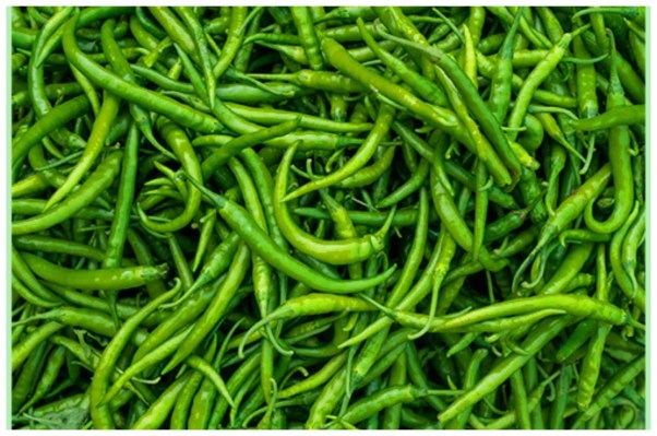 Green Chilli Benefits