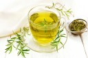 Rosemary Tea Benefits, Best Time To Drink Rosemary Tea, Rosemary Tea With Milk, Health Care With Rosemary Tea, Health Tips