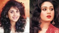 Meenakshi Seshadri Birthday special know about Damini fame actress love affairs and career here