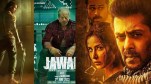 Tiger 3 Box Office Collection day 2, Salman Khan, Katrina Kaif