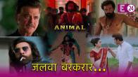 Animal, Day 26 Box Office Collection, Ranbir Kapoor, Bobby Deol