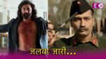 Box Office Collection Day16 Ranbir Kapoor, Animal, Vicky Kaushal, Sam Bahadur