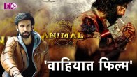 Rajiv Sen Review Animal