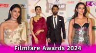 Filmfare awards 2024