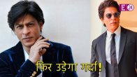 Shahrukh Khan Next Movie Plan, Shahrukh Khan, Karan Johar