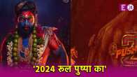 2024 Rule Pushpa Ka