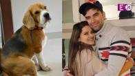 Kratika Sengar's Pet Dog Passes Away