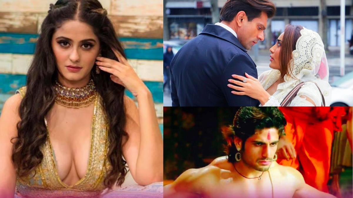 TV Stars Who Disappeared karan ayesha rajat surbhi