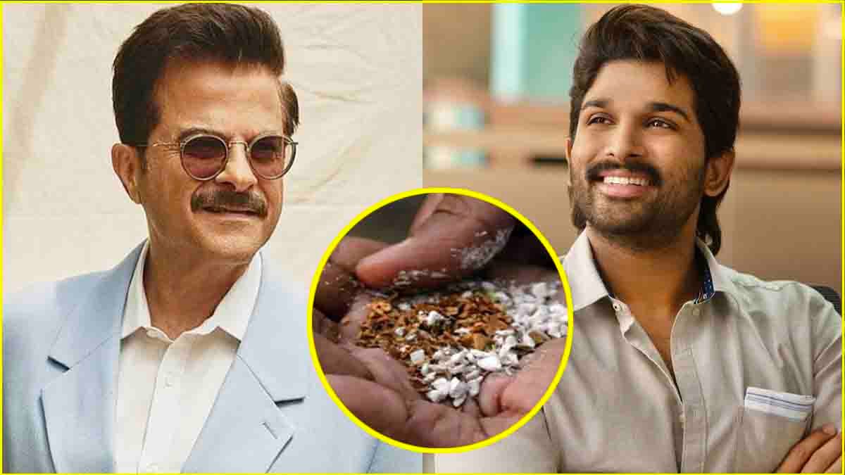 Anil Kapoor Rejects Pan Masala Add