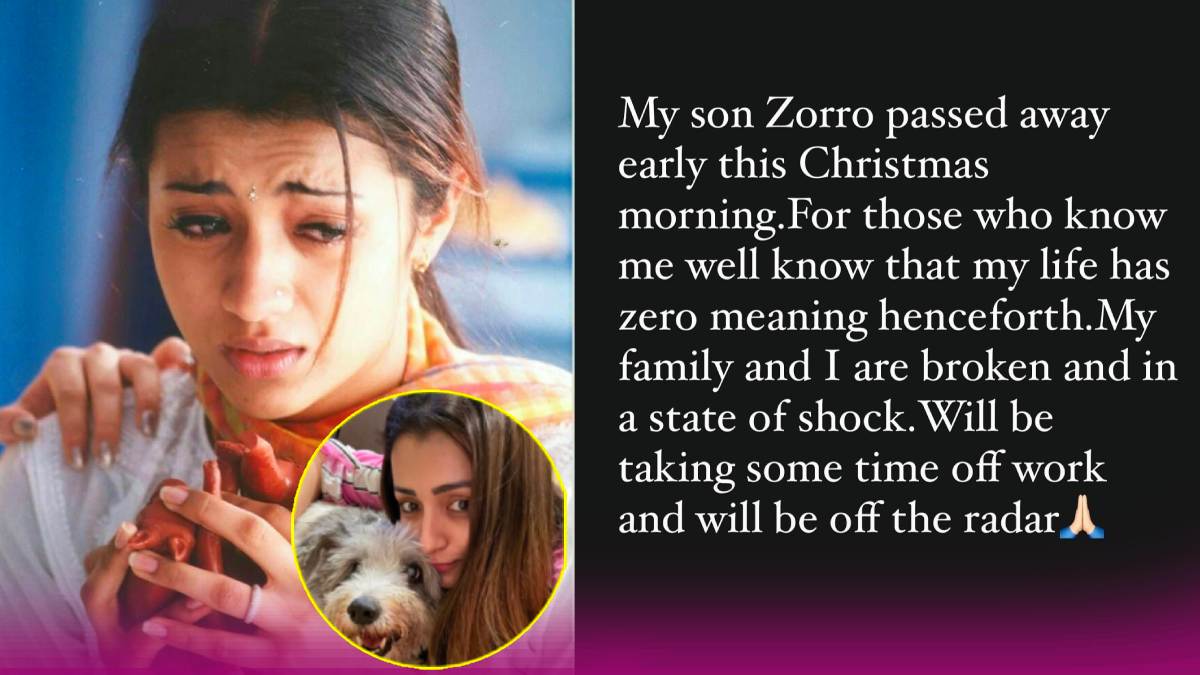 Trisha Krishnan pet dog Zorro Passes Away