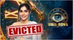 Bigg Boss 18 Finale