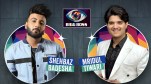 Bigg Boss 19