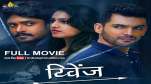 Crime, Suspense and Thriller Film 'Revenge'