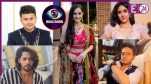 Bigg Boss 19
