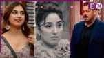 bigg boss 19