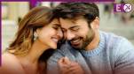 aabeer gulaal, vaani kapoor, fawad khan, aabeer gulaal movie, Aabeer Gulaal Movie Release Date, aabeer gulaal song, अबीर गुलाल
