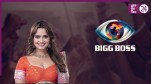 Bigg Boss 19, Neelam Giri
