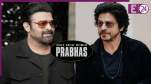 Shahrukh Khan and Prabhas fans clash on Spirit
