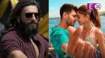 Dhurandhar vs. Tu Meri Main Tera Box Office Collection