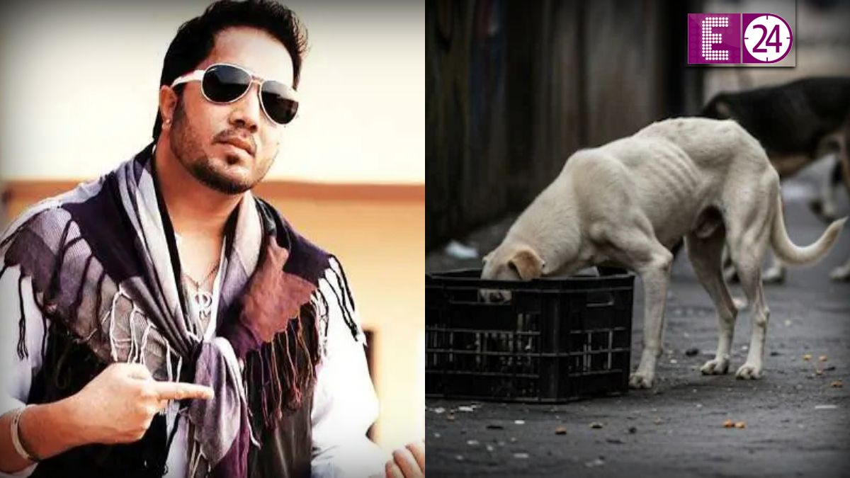 Mika Singh on stray dogs