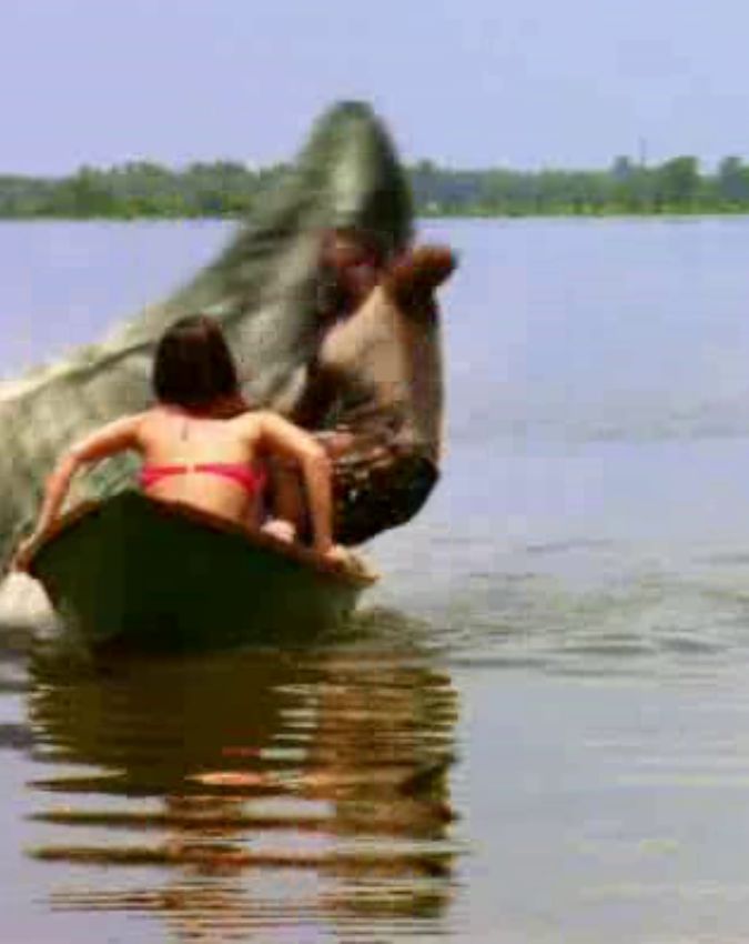 Swamp Shark-1-2-3-4-5