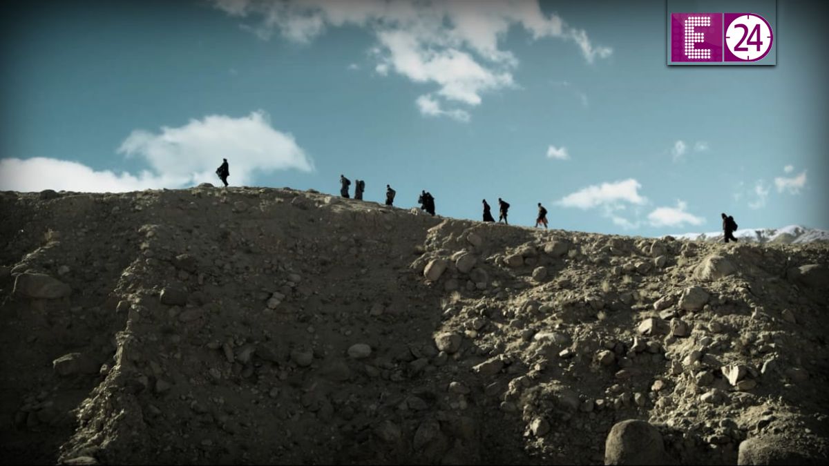 dhurandhar box office